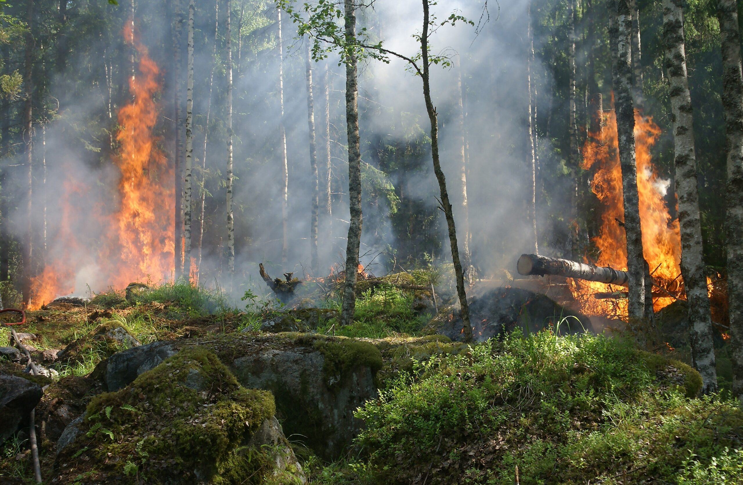 A Call for Transformative Changes in Behavioral Medicine to Meet the Climate Crisis